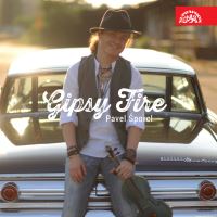 GIPSY FIRE (2014)